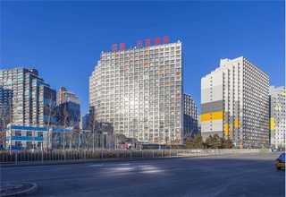 山东早熟禾草种成活率