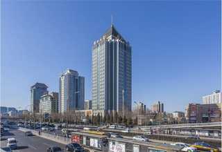 湖南出口小白鲸智能枕口碑推荐